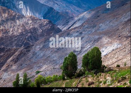 Paysage dans les montagnes. Pittoresque village de montagne flanqué de champs, arbres hauts sommets de l'Himalaya dans la vallée de Spiti à Nako, Himachal Pradesh. Banque D'Images