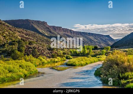 Rio Grande gorge, traversant le plateau de Taos dans la zone de jonction de Taos, zone de loisirs d'Orilla Verde, monument national de Rio Grande del Norte, Nouveau-Mexique Banque D'Images