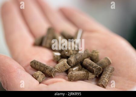 Site de la société Ynsect à Damparis, près de Dole, dans le Jura (nord-est de la France) : Ynsect transforme les insectes en natu de haute performance Banque D'Images