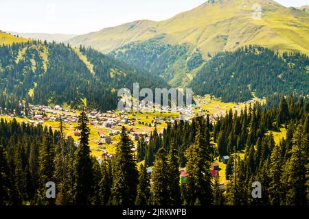 Vue aérienne sur le village de Bakhmaro en été. Célèbre voyage site touristique d'été dans les montagnes du caucase. Destination de vacances à Guria, Caucase Banque D'Images