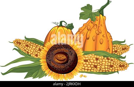 légumes d'automne et d'été maïs tournesol citrouille thanksgiving jour Illustration de Vecteur