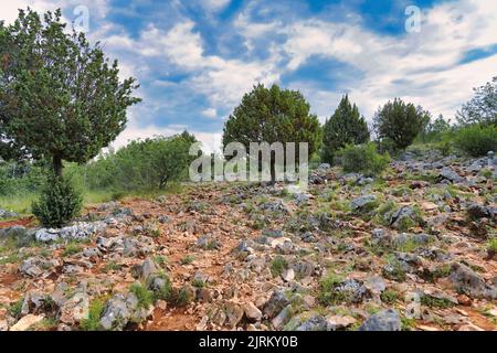 La montée de Podbrdo (colline d'apparition) avec ses pierres caractéristiques au milieu de la nature (Medjugorje, Bosnie-Herzégovine) Banque D'Images