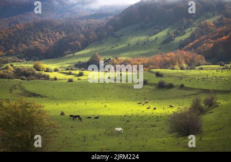 Magnifique paysage brumeux d'automne à Garrotxa, Catalogne Banque D'Images