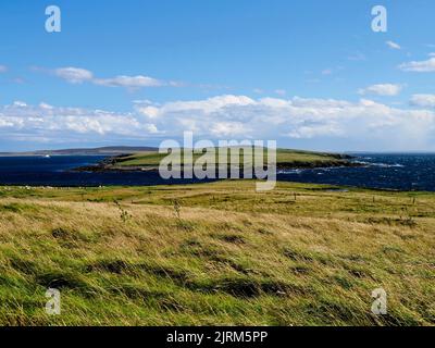 Holm de Faray, Orkney Banque D'Images