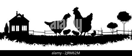 Poulets en pâturage. Silhouette de l'image. Animaux de la ferme. Volaille domestique pour obtenir des oeufs. Isolé sur fond blanc. Vecteur. Illustration de Vecteur