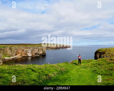 Mull Head, Mainland, Orkney, Écosse Banque D'Images