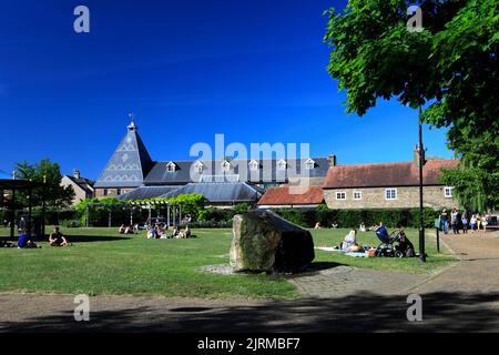 Vue d'été sur les jardins Jubilee, rivière Great Ouse, Ely City, Cambridgeshire, Angleterre, Royaume-Uni Banque D'Images