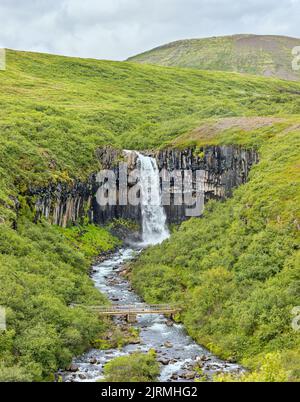 Chemin de Waterfall Svartifoss au parc national de Vatnajökull en Islande Banque D'Images