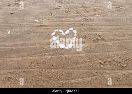 Coeur fait de coquillages à la plage de la mer. Concept amour de vacances Banque D'Images