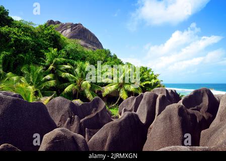 Paysage tropical près de la plage d'Anse Source d'argent. Île de la Digue, Océan Indien, Seychelles. Banque D'Images