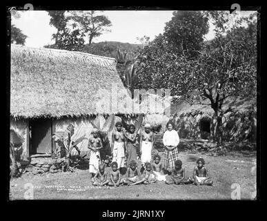 Waitova near Levuka, Fiji, 14 July 1884, Dunedin, by Burton Brothers, Alfred Burton. Stock Photo