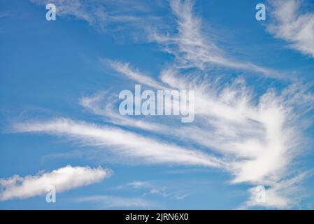 Formes irrégulières abstraites aléatoires formées par des nuages blancs de haute altitude wispy contre un ciel bleu profond Banque D'Images