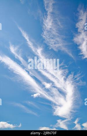 Formes irrégulières abstraites aléatoires formées par des nuages blancs de haute altitude wispy contre un ciel bleu profond Banque D'Images