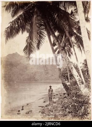 Pango Pango (sic) Harbour - Samoa, 1800s, Dunedin, par Burton Brothers. Banque D'Images