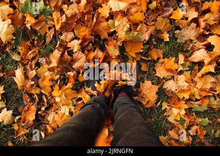 Refocalisation des pieds baskets marchant sur les feuilles d'automne. Extérieur avec la nature de la saison d'automne en arrière-plan. Style de vie mode tendance. Un pied. Octobre. Sortie Banque D'Images