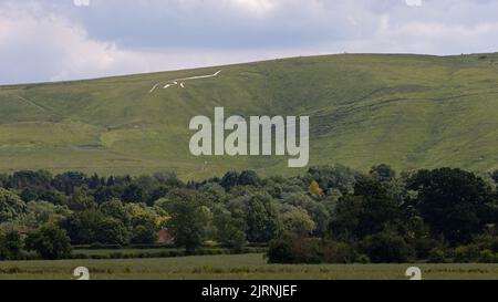 Oxfordshire Uffington White Horse juin 2022 Banque D'Images