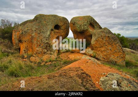 Formations de granit rouge frappantes, ressemblant à des têtes d'animaux géantes, sur la colline de Wudinna, péninsule d'Eyre, Australie méridionale Banque D'Images