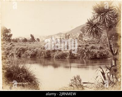 Rivière Thames - te Aroha. Tiré de l'album: Views of New Zealand décor, vers 1880, te Aroha, par Burton Brothers. Banque D'Images