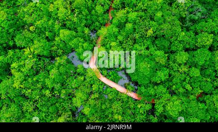 Les vues aériennes sur les forêts de mangroves sont abondantes dans le sud de la Thaïlande. THA Pom Khlong Song Nam, Krabi, Thaïlande. Magnifique paysage naturel. Banque D'Images