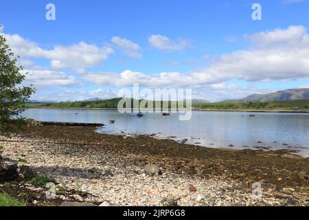 Port Appin, juste au nord du Loch Creran. En regardant directement de l'autre côté de la bande d'eau appelée la Lynn de Lorn à l'île de Lismore. Banque D'Images