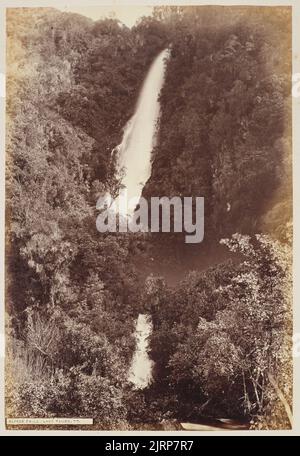 Alfred Falls, Île du Nord. Tiré de l'album: Scenes of New Zealand, vers 1880, Taup, Lake, par MM. F. Bradley & Co Banque D'Images