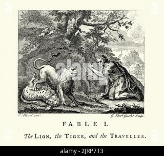 Gravure vintage le Lion, le tigre et le voyageur, des Fables de John gay 18th siècle Banque D'Images