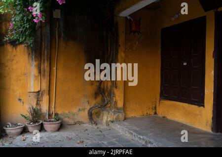 Célèbres bâtiments jaunes dans la ville de Hoi an. Vietnam une destination touristique populaire de l'Asie. Hoi an est reconnu comme un site du patrimoine mondial par l'UNESCO Banque D'Images