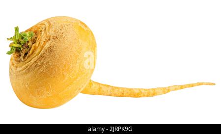 navet jaune, isolé sur fond blanc, masque, profondeur de champ totale Banque D'Images