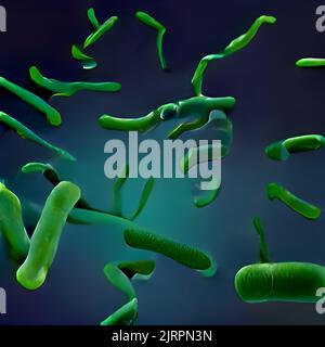 Escherichia coli (E. Coli.) cellules ou bactéries sous microscope Banque D'Images