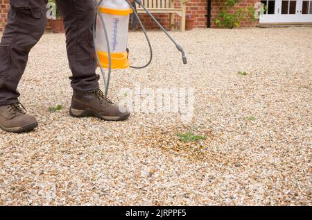 Homme pulvérisant des mauvaises herbes sur une allée de gravier dans un jardin britannique. Lutte contre les mauvaises herbes avec un spray de désherbage au glyphosate Banque D'Images