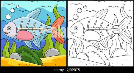 Illustration de la page de coloriage animal de poisson à rayons X. Illustration de Vecteur