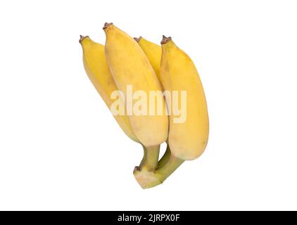 Banane cultivée isolée sur fond blanc. Banane jaune mûre sur fond blanc avec passe-cheveux Banque D'Images