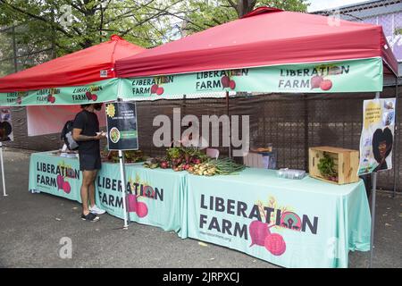 Des vendeurs de nourriture végétalienne noire et des organisations afro-américaines participent au Black VegFest au Commodore Barry Park à Brooklyn, New York. Un stand faisant la promotion de Liberation Farm une ferme appartenant à des Noirs qui cultivent des aliments biologiques dans le nord de l'État de New York. Banque D'Images