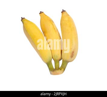 Banane cultivée isolée sur fond blanc avec des chemins d'écrêtage. 3 banane jaune mûre Banque D'Images