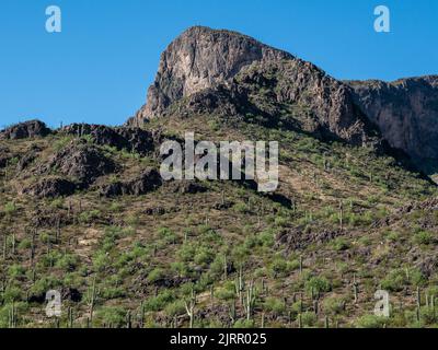 Picacho Peak est un site d'intérêt unique situé à mi-chemin entre Phoenix et Tucson, Arizona Banque D'Images