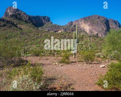 Picacho Peak est un site d'intérêt unique situé à mi-chemin entre Phoenix et Tucson, Arizona Banque D'Images