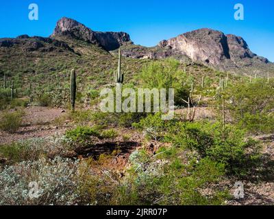 Picacho Peak est un site d'intérêt unique situé à mi-chemin entre Phoenix et Tucson, Arizona Banque D'Images