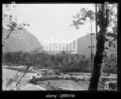 Doon Valley, Southwest Arm, Middle Fiord, lac te Anau, 1889, Dunedin, par Burton Brothers, Alfred Burton. Banque D'Images