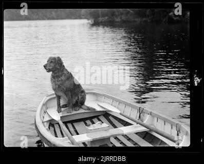 Chien dans une barque, 1932-1933, île Stewart, fabricant inconnu. Banque D'Images