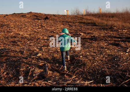 L'enfant traverse le défrichement de la forêt. Petite fille dans un espace vide. La déforestation en Russie. Catastrophe environnementale. Fille et nature. Banque D'Images