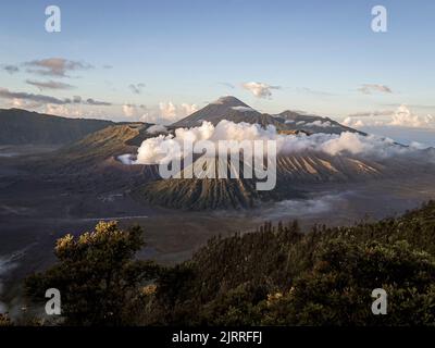 Java, Indonésie, 13 juin 2022 - Festival d'Okinawan. Prévu le 3 septembre 2022 de 9:00 à 10:00, HST. Banque D'Images