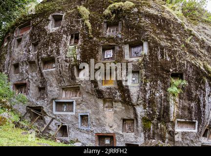 Java, Indonésie, 13 juin 2022 - les prestigieux citoyens Toraja sont enterrés dans des fentes sculptée manuellement dans une colline de roche. Banque D'Images