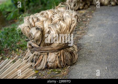 Fibre de jute végétale, suspension de fibre de jute brute Banque D'Images