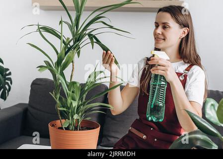 Une jeune femme arrose de l'eau dans une installation domestique intérieure. Femme de ménage occupé avec les travaux ménagers appréciez le processus prend soin des plantes domestiques luxuriantes. Bon passe-temps, clun Banque D'Images