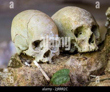 Indonésie, 13 juin 2022 - les crânes des grottes Burial de Londres gardent les cercueils des morts pendant des centaines d'années. Banque D'Images