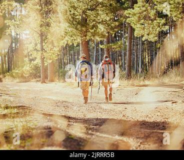 Amis ou randonneurs randonnée dans une forêt dans la nature sur un sentier de terre dehors lors d'une journée ensoleillée d'été près des arbres. Hommes actifs et en forme ou touristes trekking ou Banque D'Images