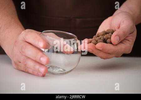 Mains de l'homme tenant un agrégat d'argile expansée léger et un vase en cristal. Banque D'Images