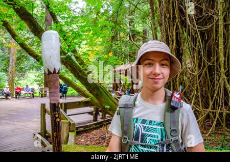 Portrait d'un adolescent portant un chapeau de soleil et un sac à dos et tenant un bâton de marche à tête d'aigle lors d'une visite de Muir Woods en Californie, États-Unis Banque D'Images