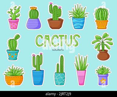 Ensemble de cactus et de succulents dessins animés amusants. Collection d'autocollants avec différents types de cactus. Surfaces avec bordure blanche. Illustration à vecteur de couleur Illustration de Vecteur