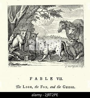 Gravure vintage le Lion, le Fox et les Oies, des Fables de John gay 18th siècle Banque D'Images